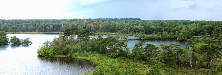 Domaine de Utrecht